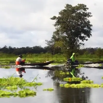 Canoeiros ribeirinhos navegando entre as plantas aquáticas do lago
