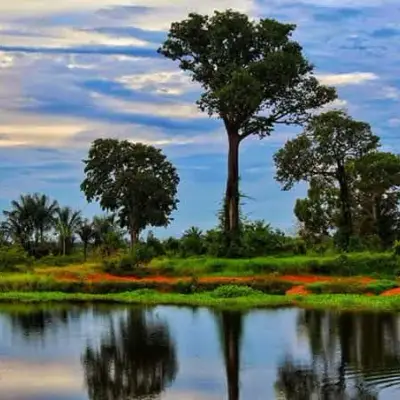 Pôr do sol sobre o lago, com as árvores refletidas na água