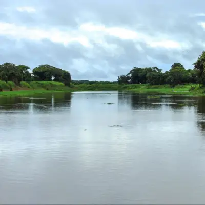 O rio entre margens densamente verdes