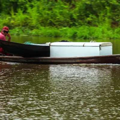 Barco a motor navegando rente à margem