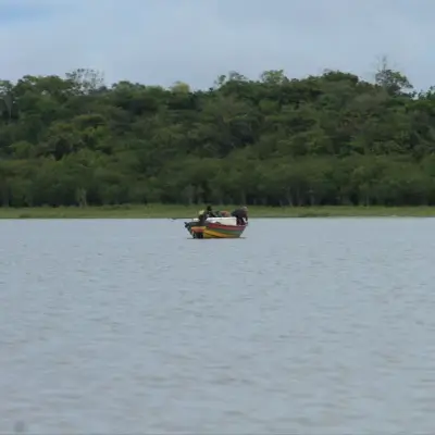 Pescador no rio, com a floresta ao fundo